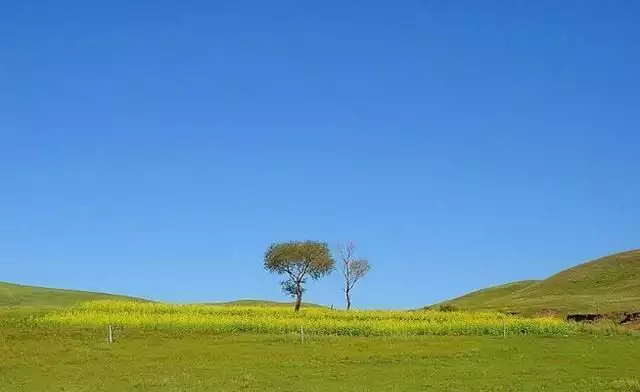 智慧景区建设×旅游景点区域的规划有所欠缺！