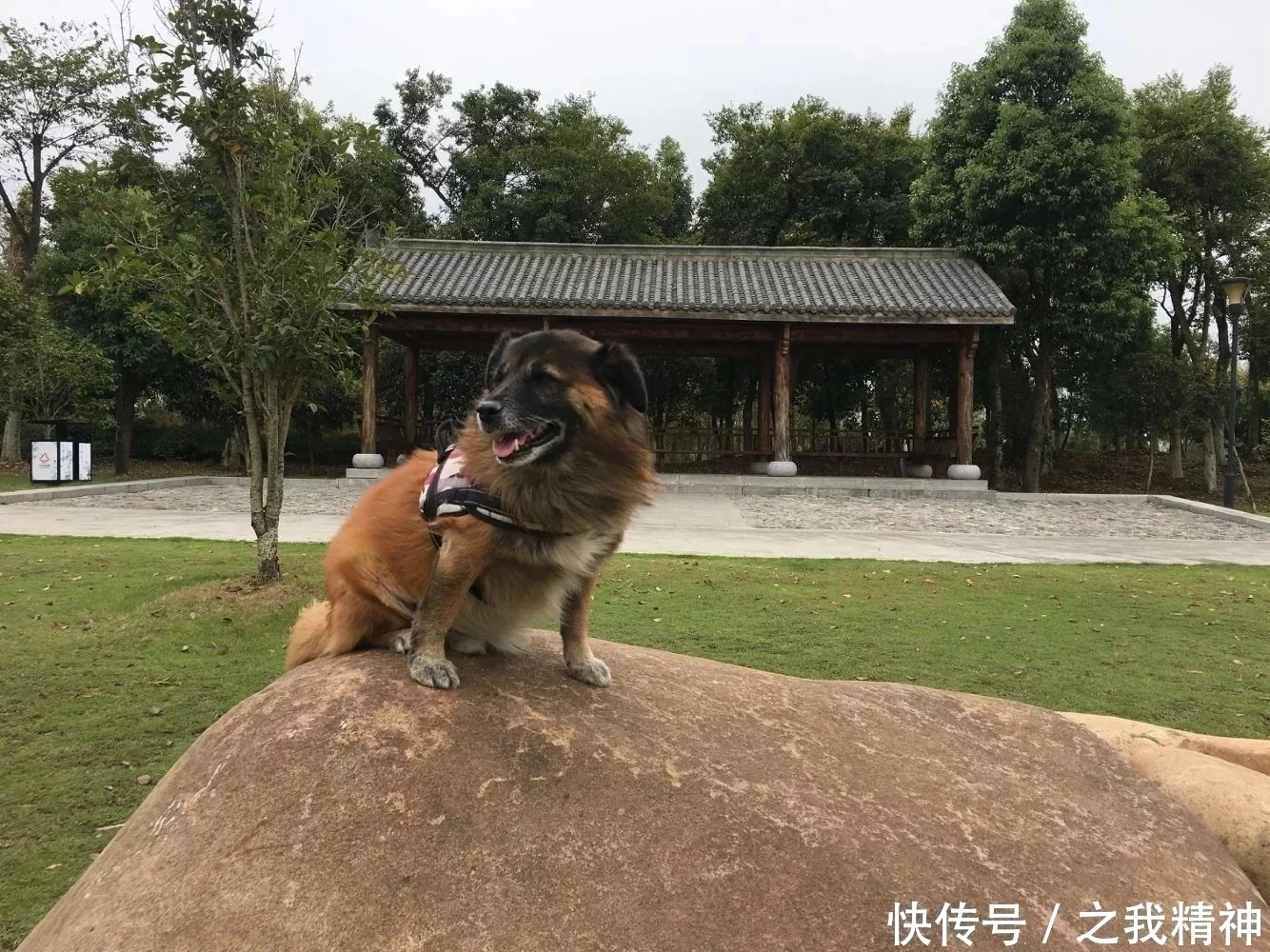 李占春——量子世界必须回答【我是谁】