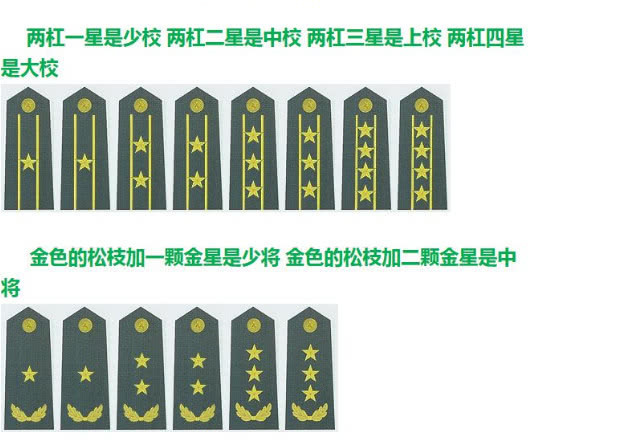 部队的军衔肩章,为什么有的是"五角星",有的是"一朵花儿"