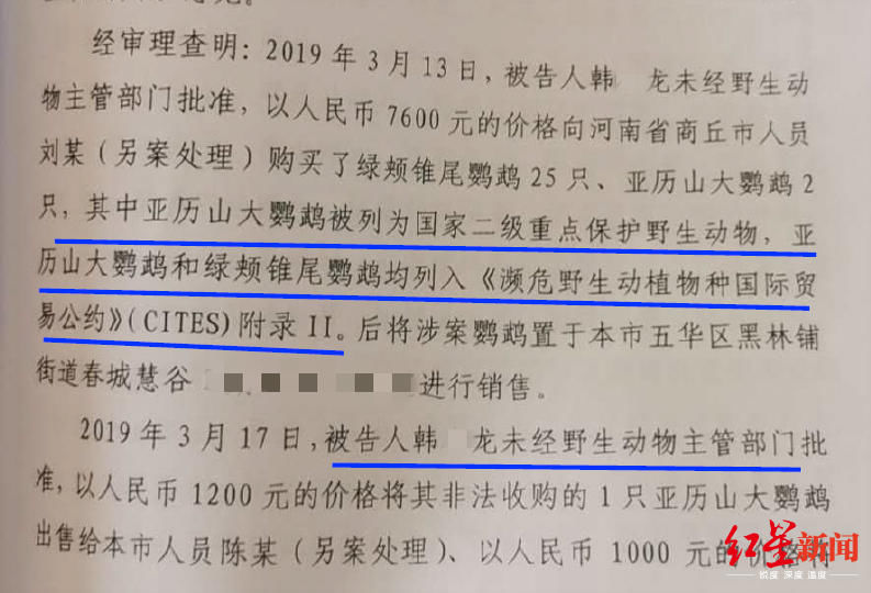 又是一起！大学生售卖2只鹦鹉一审获刑6年