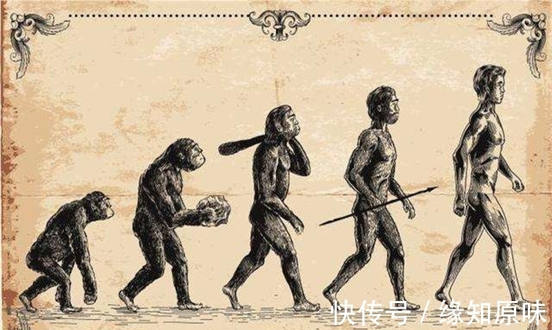 人类起源存在新方向,进化史中这几点或刷新你的世界观
