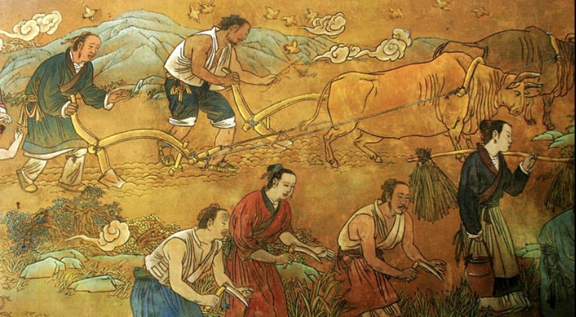 对象国家配，不嫁女有罪：这样的古代你愿意回去吗