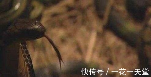 酷刑上古酷刑虿盆发明它的是中国历史上臭名昭著的毒妇