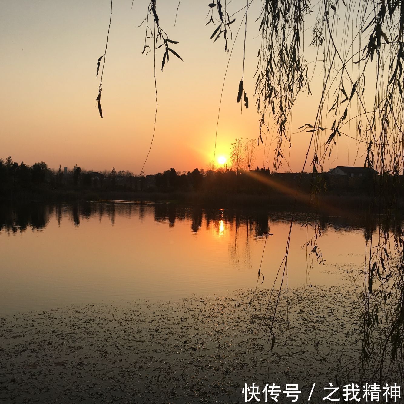 李占春————狼人杀游戏为何成真?