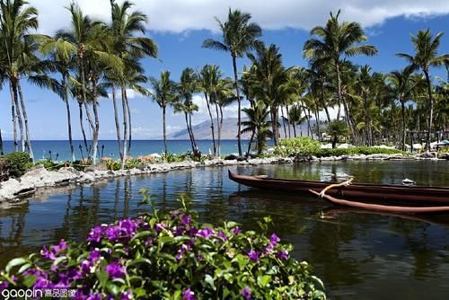 夏威夷沙滩酒店大韦利亚华尔道夫,畅享一望无际的太平洋海景