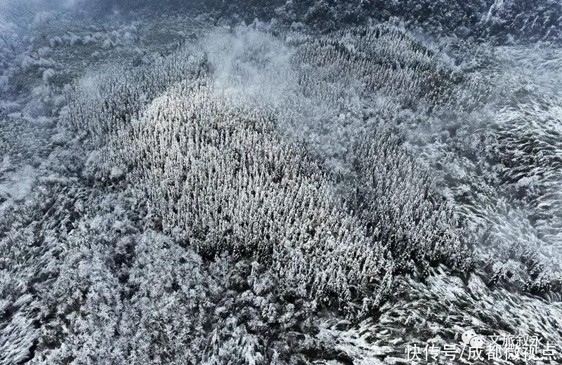 林海雪原|想看"林海雪原",不用去东北,叙永就有