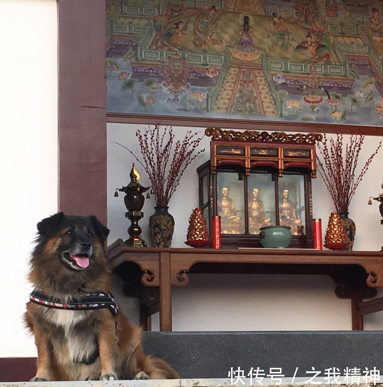 李占春————狼人杀游戏为何成真?