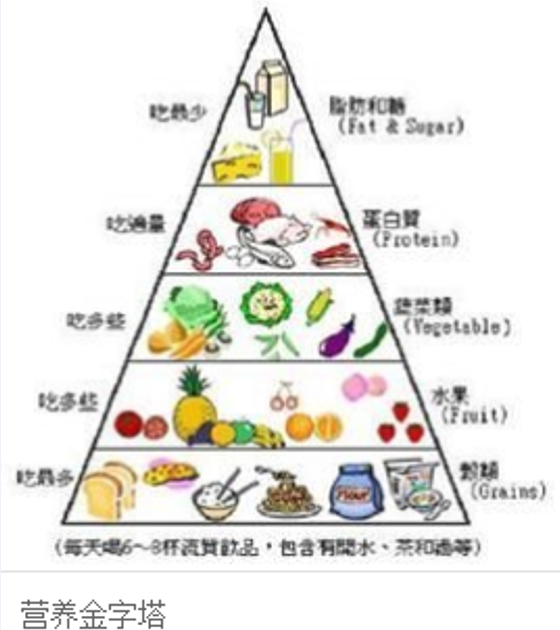 食品营养金字塔