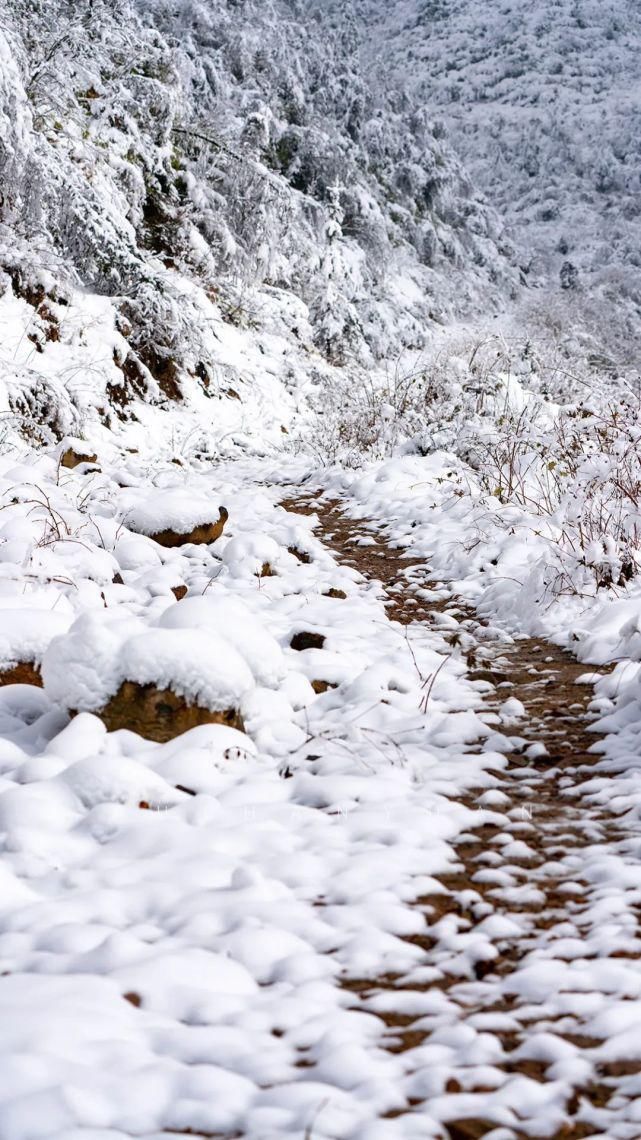 世界等一个人陪我去看雪裹雾锁泥巴山