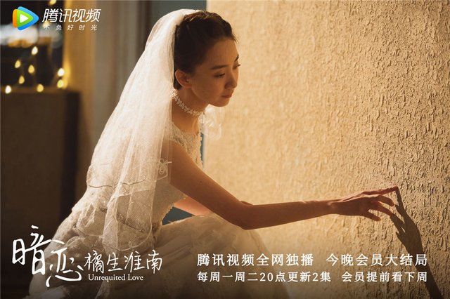 暗恋橘生淮南 会员大结局洛枳暗恋修成正果 快资讯