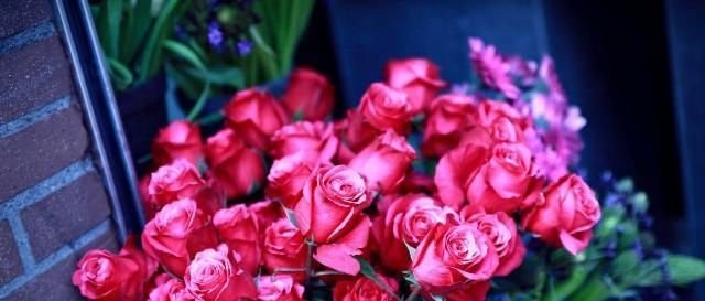 名言佳句 深刻明理 送给正在奋斗的你 快资讯