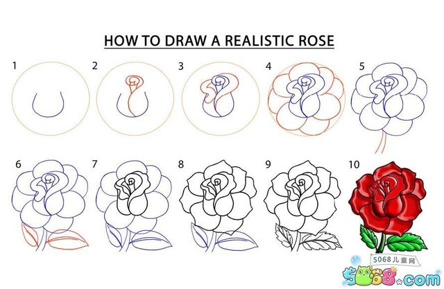 一朵盛开的玫瑰花简笔画画法步骤 快资讯