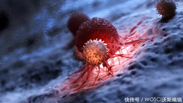 Nature突破 甘波谊团队发现全新铁死亡防御系统 为癌症治疗提供新靶点 快资讯