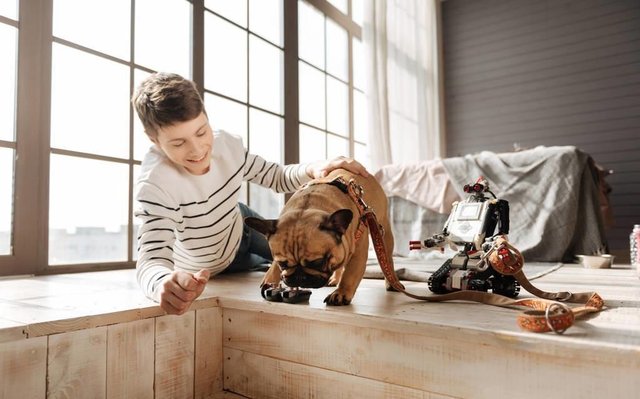 科普一下什么是犬肺水肿 其症状和治疗方法 一篇文章告诉你 快资讯