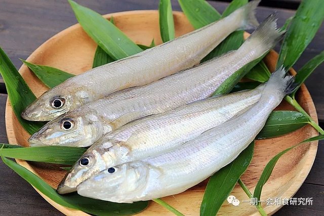 庶民的美味食材 鱚篇 快资讯