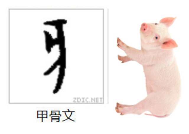 十二生肖之子鼠 人人喊打 的老鼠为何排在第一位 快资讯