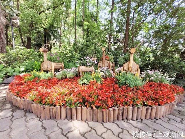 颜值爆表 普陀这里换 新装 啦 快资讯