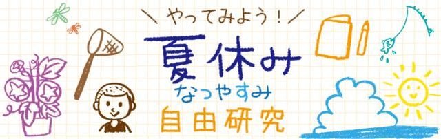 日本小学生的暑假自由研究 总结了47都道府县知事的口罩 快资讯