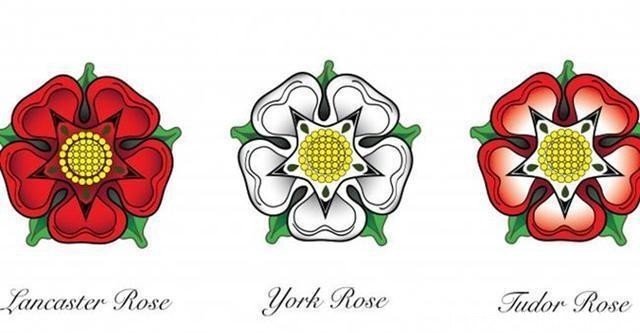 英国玫瑰战争的起因到底是什么 为何王族与贵族厮杀了30多年 快资讯