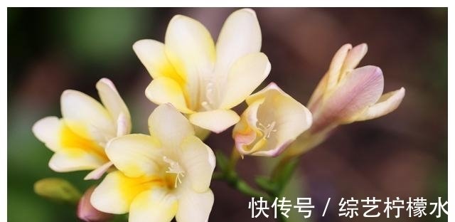 6月4日星座运势 白羊胆大心细 天秤敞开心扉 射手另辟蹊径 快资讯 6月4日星座运势 白羊胆大心细 天秤敞开心扉 射手另辟蹊径 快资讯