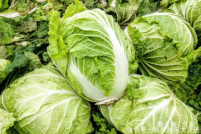 种植大白菜 种植缺钾有哪些症状怎样防治这些方法菜农须知 快资讯 种植大白菜 种植缺钾有哪些症状怎样防治这些方法菜农须知 快资讯