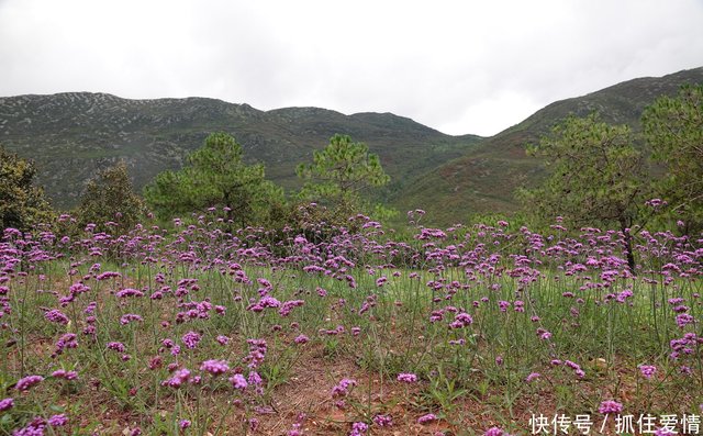 玉龙雪山附近新景点东巴秘境 快资讯
