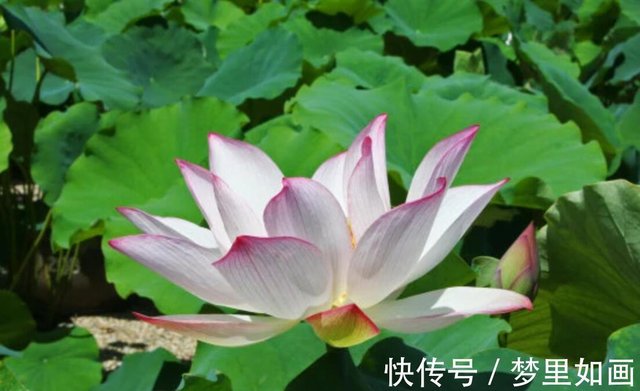 6月28号起富贵喜盈门 哪些星座财库大开 快资讯 6月28号起富贵喜盈门 哪些星座财库大开 快资讯