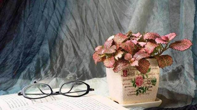 你笑起来真好看 像春天的花一样 你笑起来真好看 像春天的花一样 快资讯