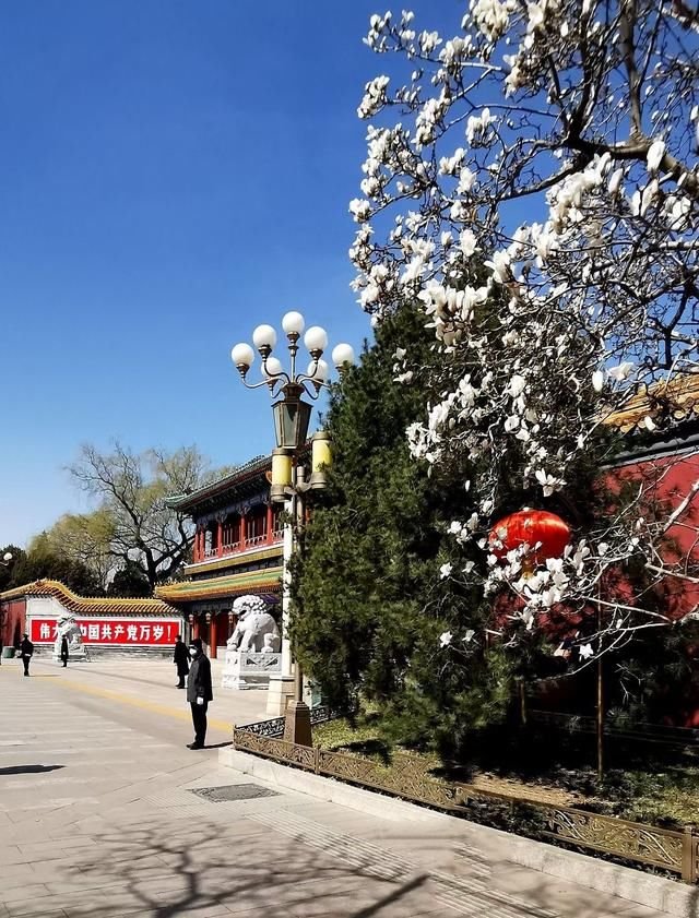 中南海紫光阁勤政殿怀仁堂都是哪个年代的建筑 快资讯
