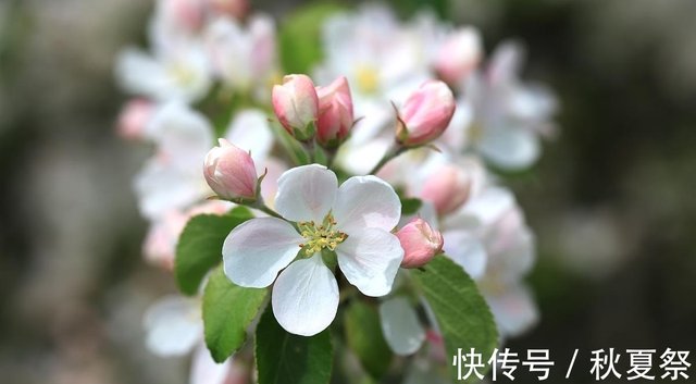 10月13日 星期三 十二星座运势爽快笑纳对方的美意 快资讯 10月13日 星期三 十二星座运势爽快笑纳对方的美意 快资讯