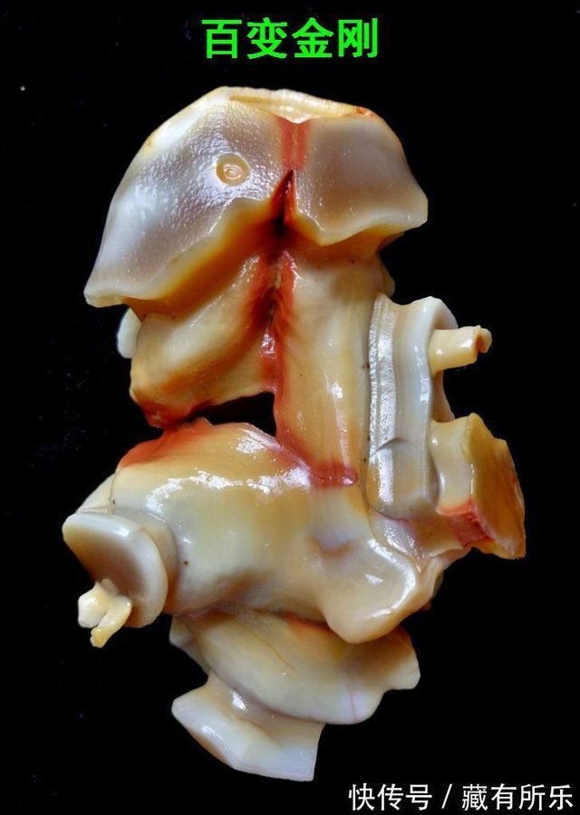 蛋白玛瑙《百变金刚》令人颠覆三观