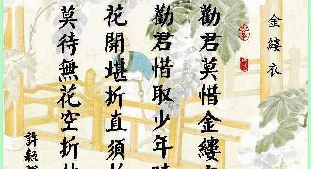 有花堪折直须折 莫待无花空折枝 唐代奇女杜秋娘的传奇一生 快资讯