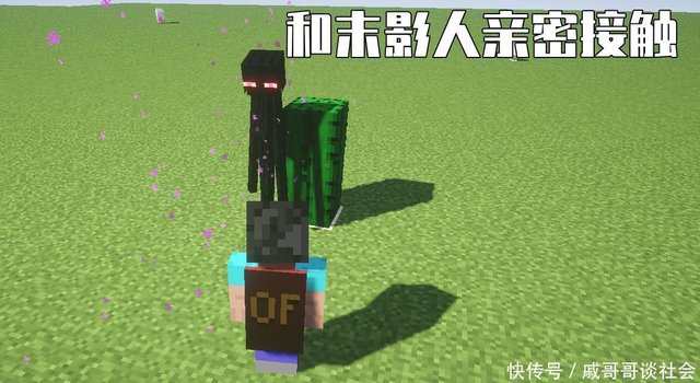 我的世界 你有仔细了解末影人么 没想到它眼中世界竟然是这样的 快资讯 我的世界 你有仔细了解末影人么 没想到它眼中世界竟然是这样的 快资讯