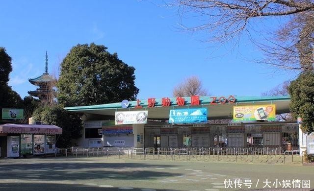 二战日本为何杀光动物园猛兽一头逃走的黑豹造成东京大骚动 快资讯 二战日本为何杀光动物园猛兽一头逃走的黑豹造成东京大骚动 快资讯