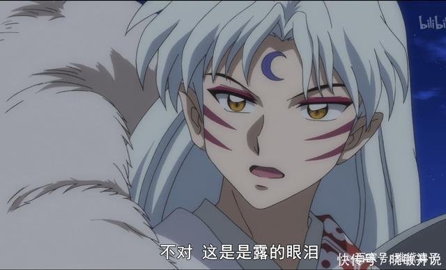 夜叉姬十四年前的秘密竞相浮出水面 犬薇夫妇竟被强制扫墓去了 快资讯