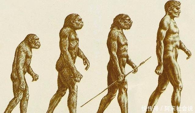 38亿年前的人骨化石已被发现 地球生物史到底是怎样的 快资讯 38亿年前的人骨化石已被发现 地球生物史到底是怎样的 快资讯