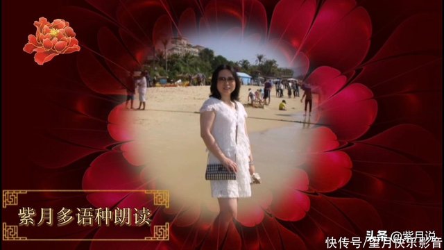 苏轼 水调歌头 紫月 中 英 法 荷兰语 中文与各语种合集 快资讯