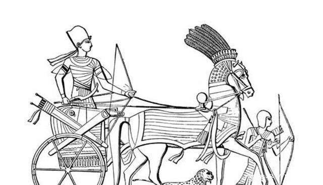 车如流水马如龙 中国马车究竟从何而来 快资讯 车如流水马如龙 中国马车究竟从何而来 快资讯