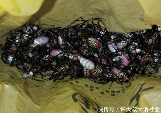 花蜘蛛摇身一变成美餐领略舌尖上的云南 快资讯