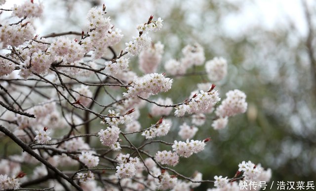 九首夏日清新诗词 晚花红片落庭莎 几回疏雨滴圆荷 快资讯 九首夏日清新诗词 晚花红片落庭莎 几回疏雨滴圆荷 快资讯