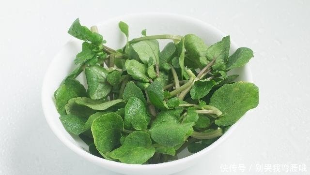 怎样进行豆瓣菜的栽培 快资讯 怎样进行豆瓣菜的栽培 快资讯