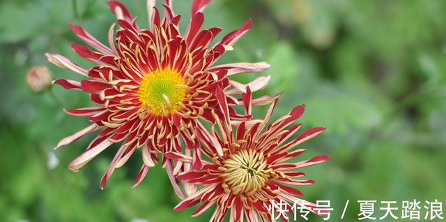 6月28日 7月4日星座运势双子座配合默契 射手座表现力强 快资讯 6月28日 7月4日星座运势双子座配合默契 射手座表现力强 快资讯