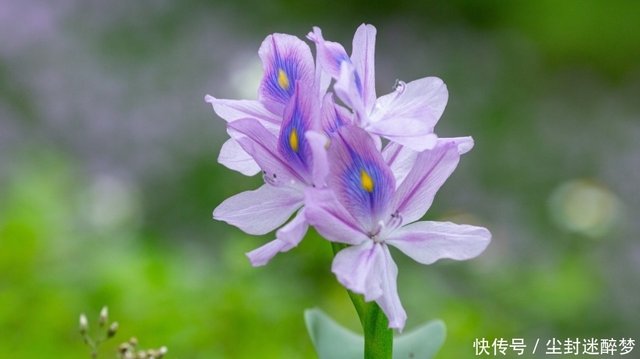 3月上旬 昼思夜想 爱如潮水 3大生肖缠缠绵绵 分分合合 快资讯