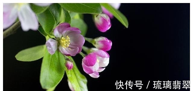 6月9日星座运势 白羊鼓足勇气 天秤举一反三 水瓶认真负责 快资讯 6月9日星座运势 白羊鼓足勇气 天秤举一反三 水瓶认真负责 快资讯