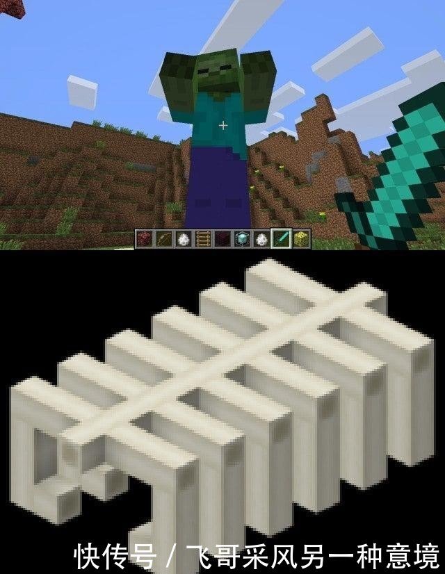 我的世界 8座 化石遗骸 究竟来自何种生物 4座头骨4座躯干骨 快资讯 我的世界 8座 化石遗骸 究竟来自何种生物 4座头骨4座躯干骨 快资讯