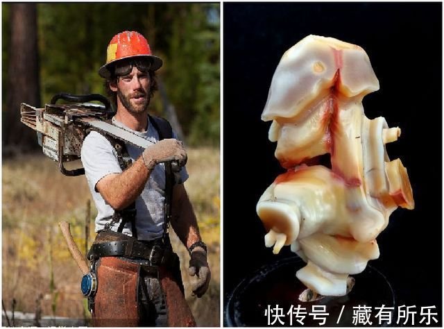 蛋白玛瑙《百变金刚》令人颠覆三观