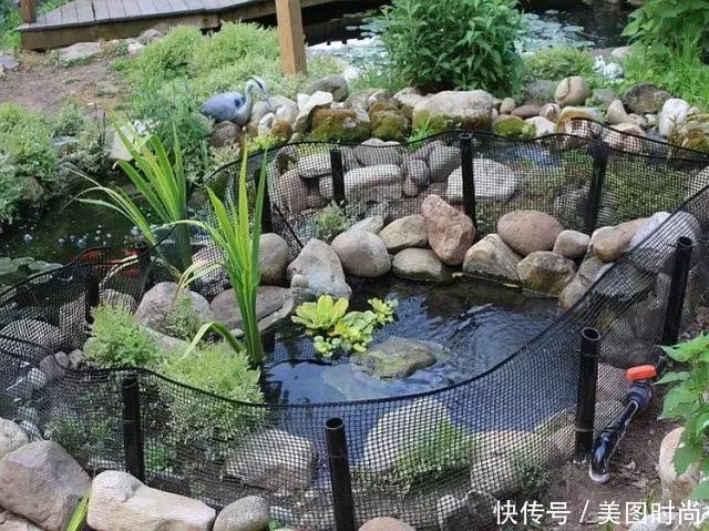 13个适合自己diy的 庭院鱼池 网友 回家立马开挖 快资讯 13个适合自己diy的 庭院鱼池 网友 回家立马开挖 快资讯