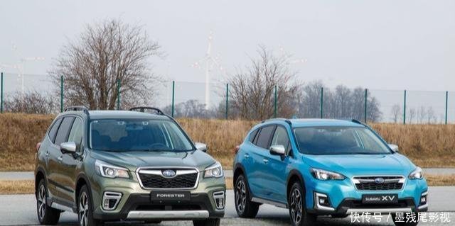 Rav4与森林人成为纯电双生车丰田将与斯巴鲁合推电动化平台 快资讯
