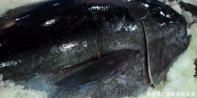 日料顶级鱼类刺身大赏 快资讯 日料顶级鱼类刺身大赏 快资讯