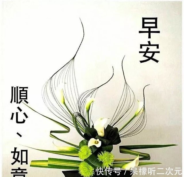最美早上好问候语简短一句话 早安带字祝福语图片温馨 快资讯